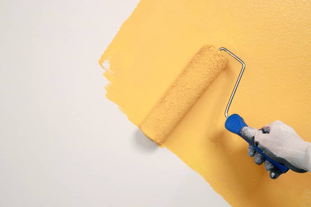 6 Signs Rochester Walls Need Professional Paint Inspection