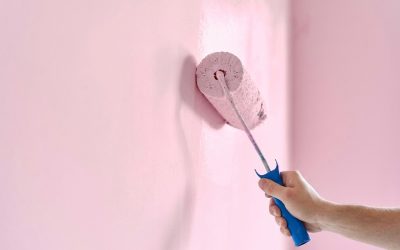 How Professional Interior Painting Services Can Transform Rochester Homes?